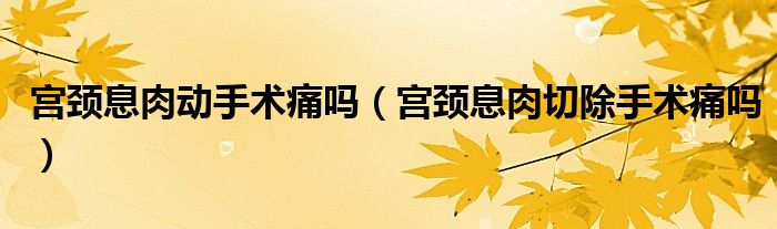 宮頸息肉動手術痛嗎（宮頸息肉切除手術痛嗎）