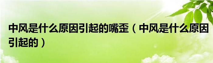 中風(fēng)是什么原因引起的嘴歪（中風(fēng)是什么原因引起的）