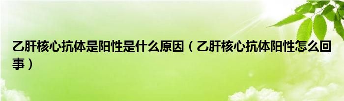 乙肝核心抗體是陽(yáng)性是什么原因（乙肝核心抗體陽(yáng)性怎么回事）