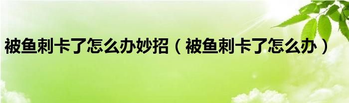 被魚(yú)刺卡了怎么辦妙招（被魚(yú)刺卡了怎么辦）