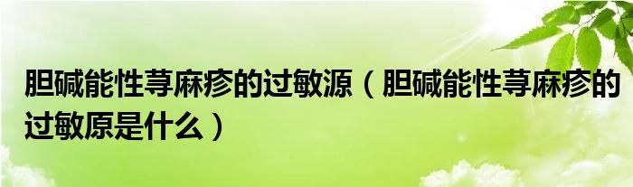 膽堿能性蕁麻疹的過敏源（膽堿能性蕁麻疹的過敏原是什么）