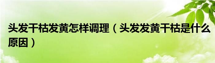 頭發(fā)干枯發(fā)黃怎樣調(diào)理（頭發(fā)發(fā)黃干枯是什么原因）