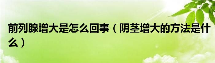 前列腺增大是怎么回事（陰莖增大的方法是什么）