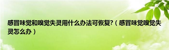 感冒味覺和嗅覺失靈用什么辦法可恢復?（感冒味覺嗅覺失靈怎么辦）