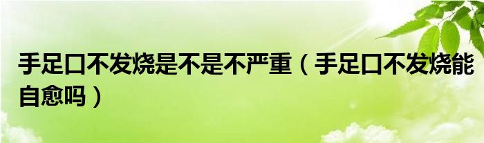 手足口不發(fā)燒是不是不嚴重（手足口不發(fā)燒能自愈嗎）