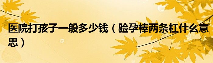 醫(yī)院打孩子一般多少錢（驗(yàn)孕棒兩條杠什么意思）