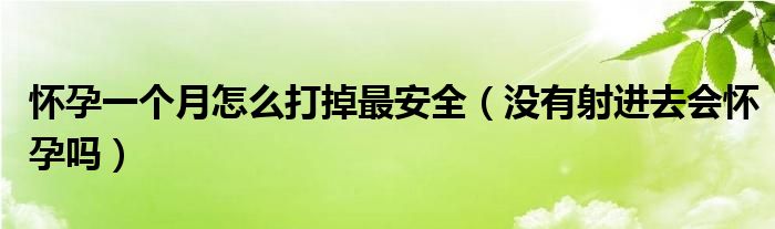 懷孕一個(gè)月怎么打掉最安全（沒(méi)有射進(jìn)去會(huì)懷孕嗎）