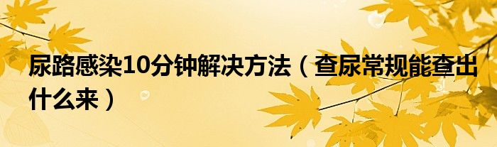 尿路感染10分鐘解決方法（查尿常規(guī)能查出什么來）