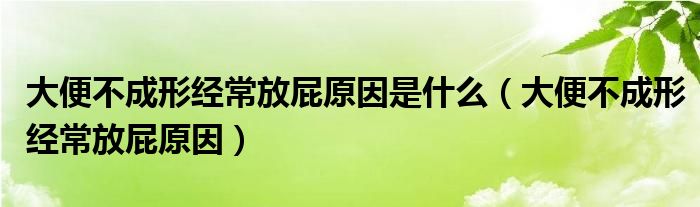 大便不成形經常放屁原因是什么（大便不成形經常放屁原因）