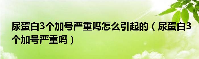 尿蛋白3個(gè)加號(hào)嚴(yán)重嗎怎么引起的（尿蛋白3個(gè)加號(hào)嚴(yán)重嗎）