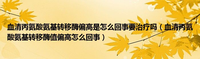 血清丙氨酸氨基轉移酶偏高是怎么回事要治療嗎（血清丙氨酸氨基轉移酶值偏高怎么回事）