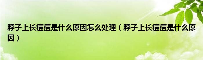 脖子上長痘痘是什么原因怎么處理（脖子上長痘痘是什么原因）