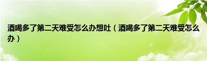 酒喝多了第二天難受怎么辦想吐（酒喝多了第二天難受怎么辦）