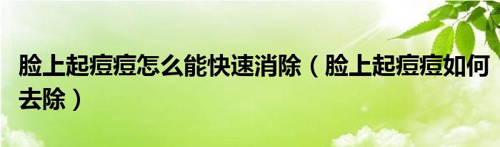 臉上起痘痘怎么能快速消除（臉上起痘痘如何去除）