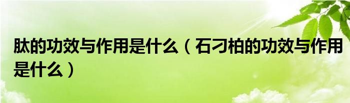 肽的功效與作用是什么（石刁柏的功效與作用是什么）