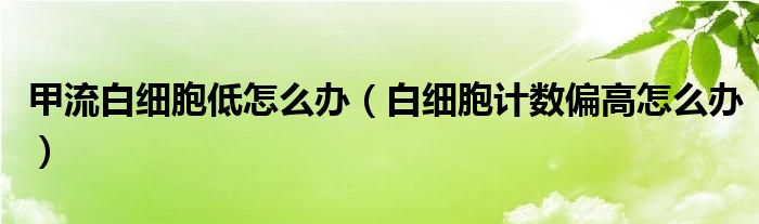 甲流白細(xì)胞低怎么辦（白細(xì)胞計數(shù)偏高怎么辦）