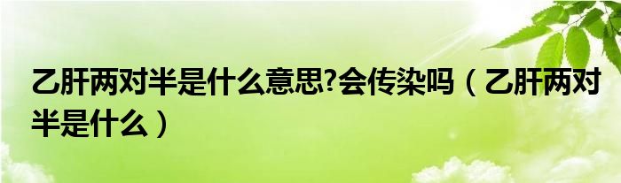 乙肝兩對半是什么意思?會傳染嗎（乙肝兩對半是什么）