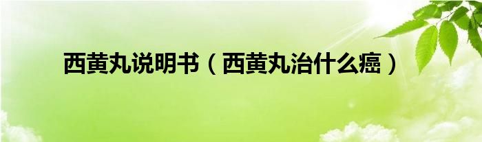 西黃丸說明書（西黃丸治什么癌）