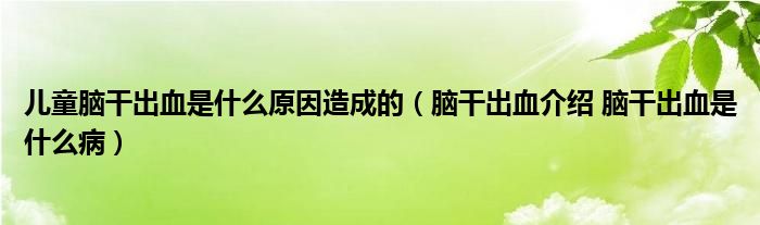 兒童腦干出血是什么原因造成的（腦干出血介紹 腦干出血是什么?。? /></span>
		<span id=