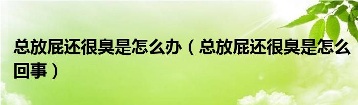 總放屁還很臭是怎么辦（總放屁還很臭是怎么回事）