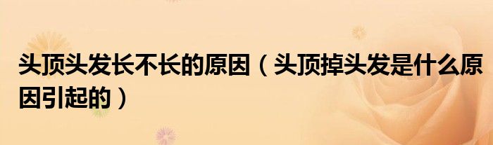 頭頂頭發(fā)長不長的原因（頭頂掉頭發(fā)是什么原因引起的）