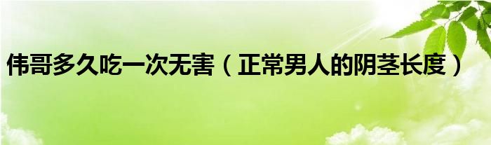 偉哥多久吃一次無害（正常男人的陰莖長度）