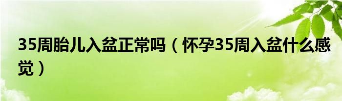 35周胎兒入盆正常嗎（懷孕35周入盆什么感覺）