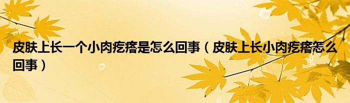 皮膚上長一個(gè)小肉疙瘩是怎么回事（皮膚上長小肉疙瘩怎么回事）