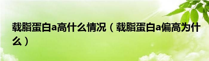 載脂蛋白a高什么情況（載脂蛋白a偏高為什么）