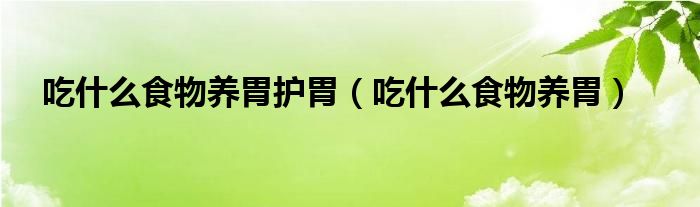 吃什么食物養(yǎng)胃護(hù)胃（吃什么食物養(yǎng)胃）