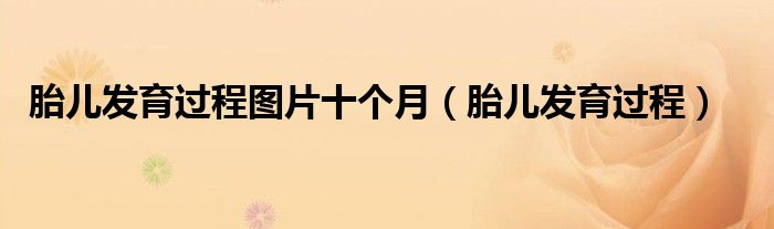 胎兒發(fā)育過(guò)程圖片十個(gè)月（胎兒發(fā)育過(guò)程）