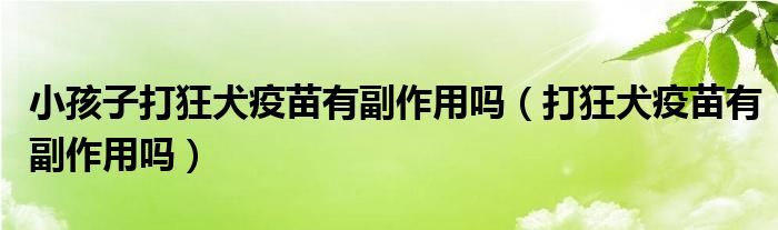 小孩子打狂犬疫苗有副作用嗎（打狂犬疫苗有副作用嗎）