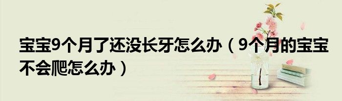 寶寶9個(gè)月了還沒(méi)長(zhǎng)牙怎么辦（9個(gè)月的寶寶不會(huì)爬怎么辦）