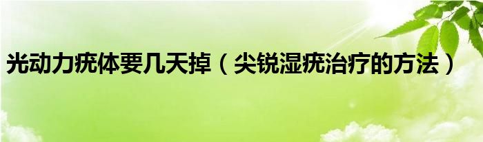 光動力疣體要幾天掉（尖銳濕疣治療的方法）