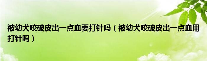 被幼犬咬破皮出一點(diǎn)血要打針嗎（被幼犬咬破皮出一點(diǎn)血用打針嗎）