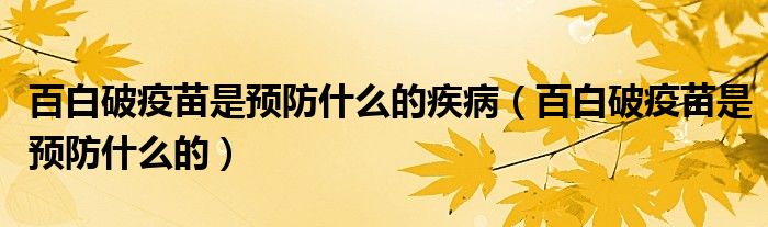 百白破疫苗是預(yù)防什么的疾?。ò侔灼埔呙缡穷A(yù)防什么的）