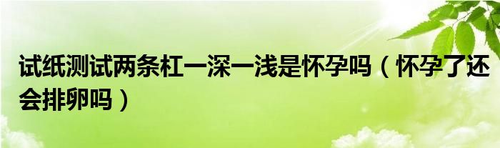 試紙測試兩條杠一深一淺是懷孕嗎（懷孕了還會排卵嗎）