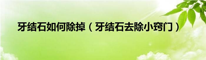 牙結石如何除掉（牙結石去除小竅門）