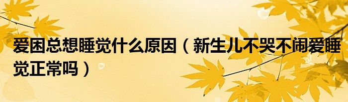 愛(ài)困總想睡覺(jué)什么原因（新生兒不哭不鬧愛(ài)睡覺(jué)正常嗎）