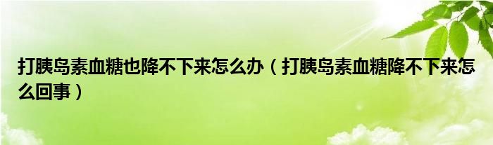 打胰島素血糖也降不下來(lái)怎么辦（打胰島素血糖降不下來(lái)怎么回事）