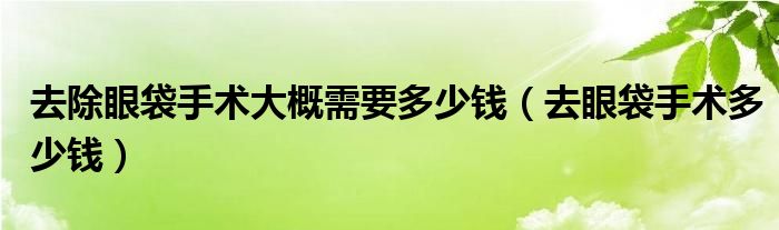 去除眼袋手術大概需要多少錢（去眼袋手術多少錢）