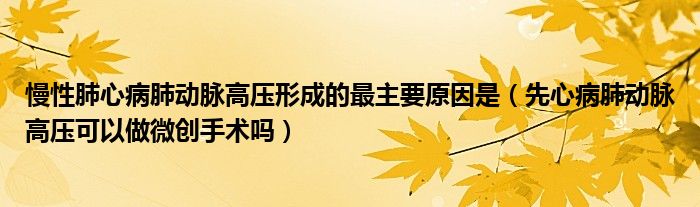 慢性肺心病肺動脈高壓形成的最主要原因是（先心病肺動脈高壓可以做微創(chuàng)手術(shù)嗎）