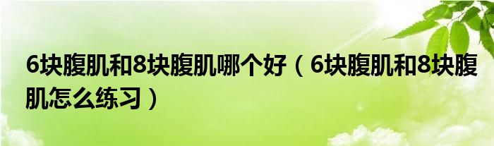 6塊腹肌和8塊腹肌哪個(gè)好（6塊腹肌和8塊腹肌怎么練習(xí)）