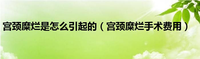 宮頸糜爛是怎么引起的（宮頸糜爛手術費用）