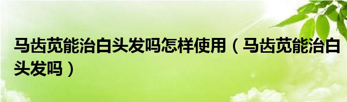 馬齒莧能治白頭發(fā)嗎怎樣使用（馬齒莧能治白頭發(fā)嗎）