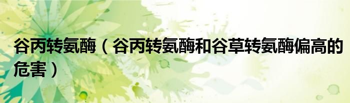 谷丙轉(zhuǎn)氨酶（谷丙轉(zhuǎn)氨酶和谷草轉(zhuǎn)氨酶偏高的危害）