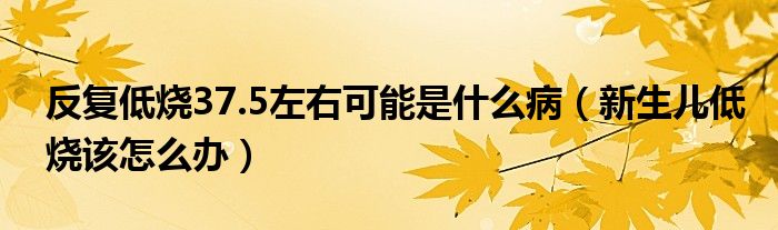 反復(fù)低燒37.5左右可能是什么?。ㄐ律鷥旱蜔撛趺崔k）