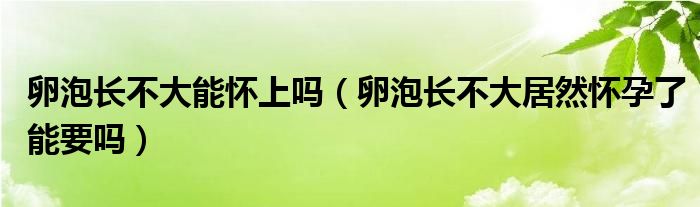 卵泡長不大能懷上嗎（卵泡長不大居然懷孕了能要嗎）