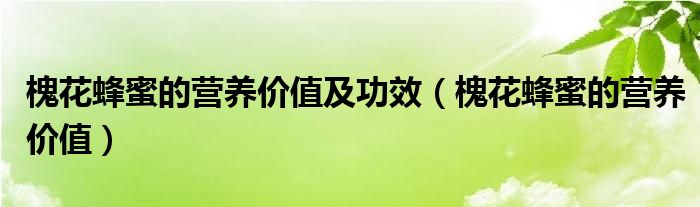 槐花蜂蜜的營(yíng)養(yǎng)價(jià)值及功效（槐花蜂蜜的營(yíng)養(yǎng)價(jià)值）