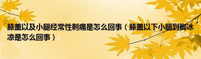 膝蓋以及小腿經常性刺痛是怎么回事（膝蓋以下小腿到腳冰涼是怎么回事）